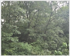  2025Ÿ��8669 ��� ĥ� ��õ�� ���긮 ��99      ����(�Ӿ�)���