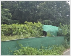  2025Ÿ��8669 ��� ĥ� ��õ�� ���긮 ��99      ����(�Ӿ�)���