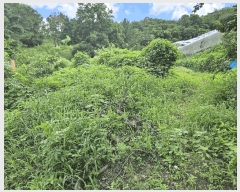  2025Ÿ��8785 ��� ���� ��õ�� �Ｚ�� 60      ����(��)���