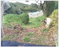  2025Ÿ��8785 ��� ���� ��õ�� �Ｚ�� 60      ����(��)���