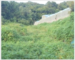  2025Ÿ��8785 ��� ���� ��õ�� �Ｚ�� 60      ����(��)���