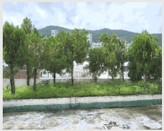  2025Ÿ��8809  �ٸ��ü����