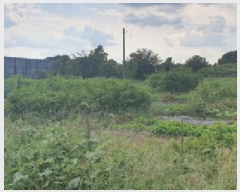  2025Ÿ��9020 ��� ���� ������ �α⸮ 540-1      ����(��1)���