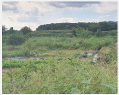  2025Ÿ��9020 ��� ���� ������ �α⸮ 540-1      ����(��1)���