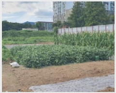  2025Ÿ��9020 ��� ���� ������ �α⸮ 540-1      ����(��1)���