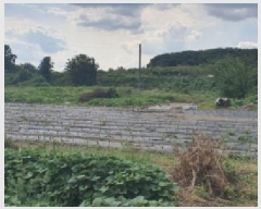  2025Ÿ��9020 ��� ���� ������ �α⸮ 540-1      ����(��1)���