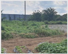  2025Ÿ��9020 ��� ���� ������ �α⸮ 540-1      ����(��1)���