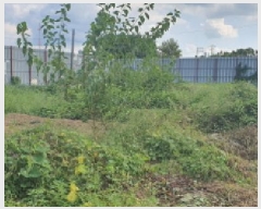  2025Ÿ��9020 ��� ���� ������ �α⸮ 540-1      ����(��1)���