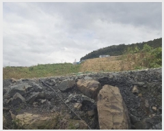  2025Ÿ��9393 ��� ��õ�� �ϻ굿 709-105       ����(������)���