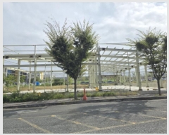  2025Ÿ��9393 ��� ��õ�� �߻絿 485-9       ����(��1)���