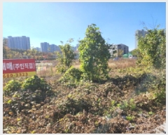  2025Ÿ��9415 �뱸 �ϱ� ���쵿 1182-5       ����(����)���