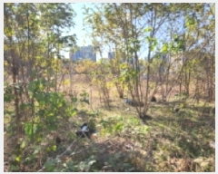  2025Ÿ��9415 �뱸 �ϱ� ���쵿 1182-5       ����(����)���