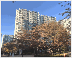 2025Ÿ��9475 �뱸 ���� ���ϵ� 1093 ��������������Ʈ 112�� 9��903ȣ    ����Ʈ���