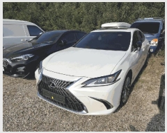  2025Ÿ��9703 �뱸 �ϱ� ��ȣ�� 416 ���丶Ʈ �뱸������     �������