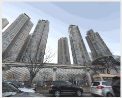  2025Ÿ��9775 �뱸 ������ �λ굿 113 �����������̸������� 105�� 54��5401ȣ    ����Ʈ���