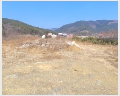  2025Ÿ��598 �뱸 ���� ������ 951       ����(��1)���