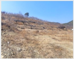  2025Ÿ��598 �뱸 ���� ������ 951       ����(��1)���