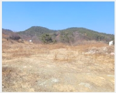  2025Ÿ��598 �뱸 ���� ������ 951       ����(��1)���