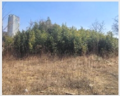  2025Ÿ��598 �뱸 ���� ������ 951       ����(��1)���