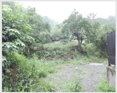  2025Ÿ��750  �����