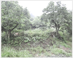  2025Ÿ��750  �����