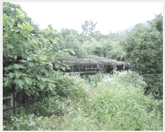  2025Ÿ��750  �����