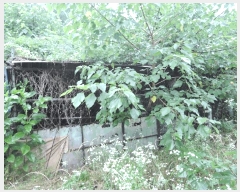  2025Ÿ��750  �����