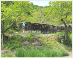  2025Ÿ��750  �����