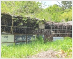  2025Ÿ��750  �����