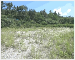  2025Ÿ��803  ��������