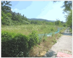  2025Ÿ��803  ��������