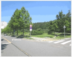  2025Ÿ��803  ��������