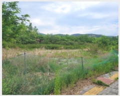  2025Ÿ��803  ��������