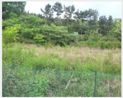  2025Ÿ��803  ��������