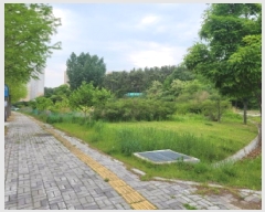  2025Ÿ��803  ��������