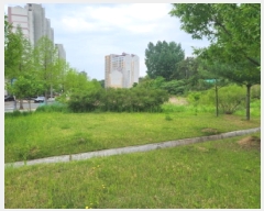  2025Ÿ��803  ��������