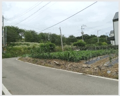  2025Ÿ��906 ��� ���� ������ 540-3       ����(��)���