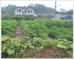  2025Ÿ��906 ��� ���� ������ 540-3       ����(��)���