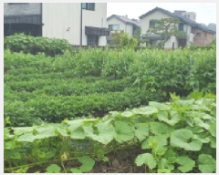  2025Ÿ��906 ��� ���� ������ 540-3       ����(��)���