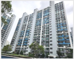  2025Ÿ��985  ����Ʈ���