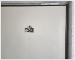  2025Ÿ��985  ����Ʈ���