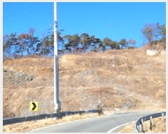  2025Ÿ5285  û ȭ  2-2      (Ӿ)