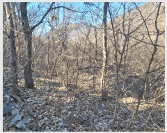  2025Ÿ��7137  ����