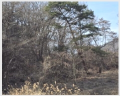  2025Ÿ��7137  ����