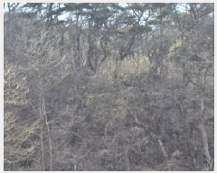  2025Ÿ��7137  ����