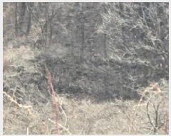  2025Ÿ��7137  ����