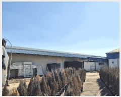  2025Ÿ��7243  â�����