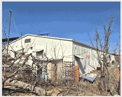  2025Ÿ��7243  â�����