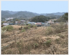  2025Ÿ��7666  ����