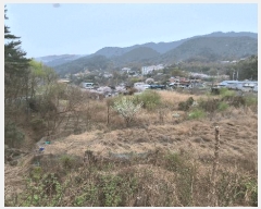  2025Ÿ��7666  ����